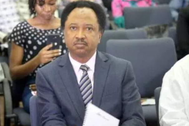 While Islamic Leaders massage the Govt's Image Christian Clerics are leading Protests - Shehu Sani 1 While Islamic Leaders massage the Govt's Image Christian Clerics are leading Protests - Shehu Sani 1