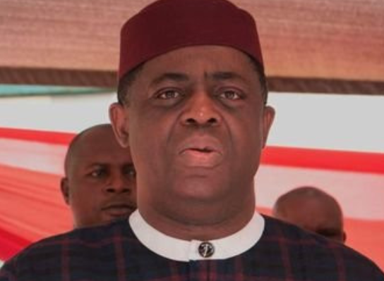 Ex-Minister, Fani-Kayode To Make Nollywood debut 1