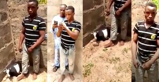 Man caught having Sex with Goat in uncompleted building. 1 Man caught having Sex with Goat in uncompleted building. 1