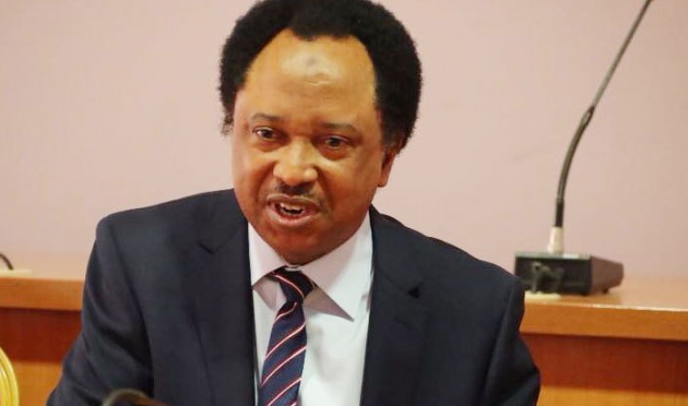 Shehu Sani slams Abuja schools that charge exorbitant prices as students from less expensive schools ''sweep the trophies in WAEC and NECO'' 1