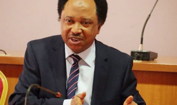 President’s New Year speech is like native doctor’s words of hope to a sick man - Shehu Sani 1