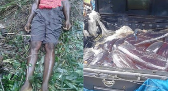 27-year-old crushed by Van conveying Policemen in Imo state 1 27-year-old crushed by Van conveying Policemen in Imo state 1