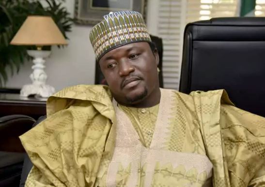 Northern Governors Have Turned Killings, Banditry Into Business As Buhari Has Not Done Enough –AYCF President, Shettima 1 Northern Governors Have Turned Killings, Banditry Into Business As Buhari Has Not Done Enough –AYCF President, Shettima 1