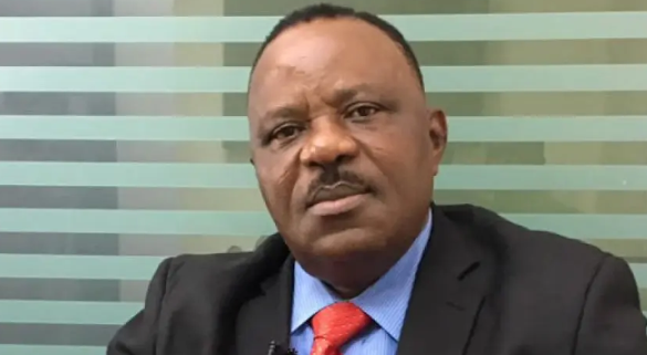 Buhari should replace his Mercedez Benz with Innoson vehicle - SKC Ogbonnia 1 Buhari should replace his Mercedez Benz with Innoson vehicle - SKC Ogbonnia 1