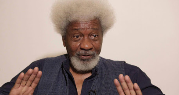 "It has not been a good year, it's as if nobody is ruling the country" - Wole Soyinka 1