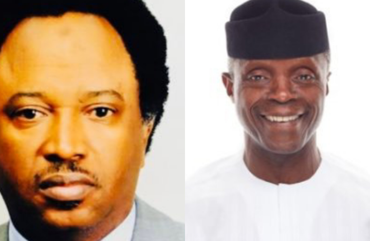 "Instead of cutting cost you are calling for debate?" - Shehu Sani slams Osinbajo 1 "Instead of cutting cost you are calling for debate?" - Shehu Sani slams Osinbajo 1