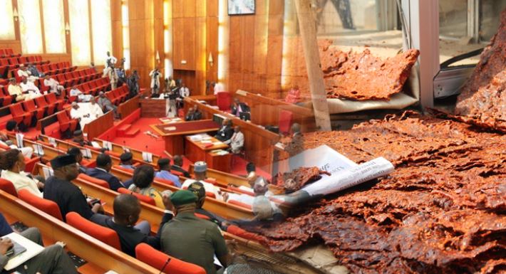 Drama in Senate as RMRDC boss lists ‘Kilishi’ as Major Research Breakthrough in 33years 1 Drama in Senate as RMRDC boss lists ‘Kilishi’ as Major Research Breakthrough in 33years 1
