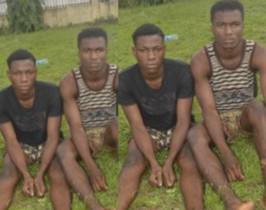 Two Brothers arrested for raping their Cousin in Imo State 1