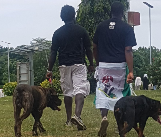 #EndSARS: Thugs allegedly back down after protesters arrived with fierce dogs at protest location in Abuja (photo) 7 #EndSARS: Thugs allegedly back down after protesters arrived with fierce dogs at protest location in Abuja (photo) 7