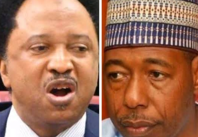 "Insurgency didn’t start from Protest" – Shehu Sani Replies Zulum 1