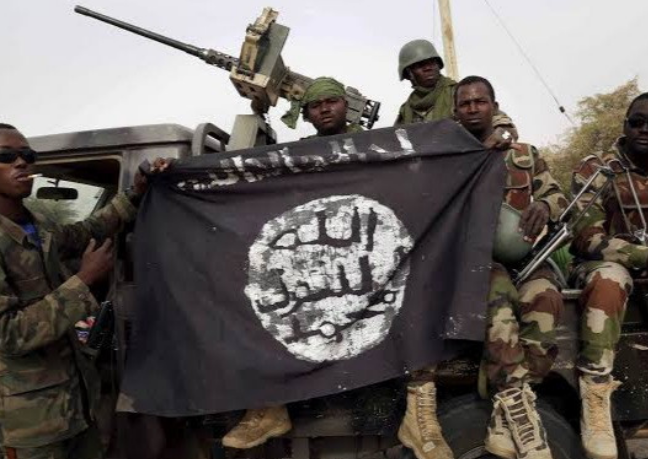 Boko Haram has taken over 500 communities in Niger state, says LGA chairman 1