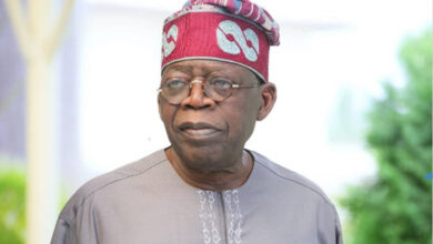 Photo of Nigerian naira is one of the world’s best-performing currencies today – President Tinubu