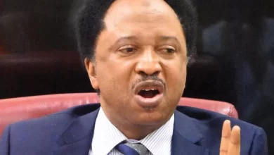 Photo of President Tinubu cannot change the capital of Nigeria to Lagos, it requires a constitutional amendment – Shehu Sani