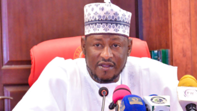Photo of Insecurity: Defend yourselves, don’t rely only on govt – Katsina State Gov. Radda tells residents