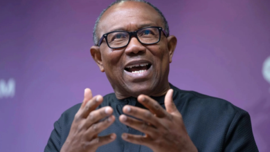 Photo of Thousands of jobs are about to be lost, Stop the Lagos-Calabar Highway project it’s not too late – Peter Obi advises Tinubu