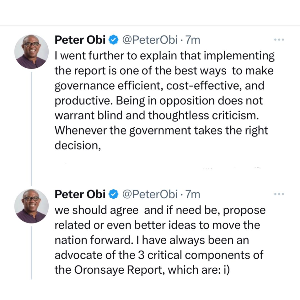 Being in opposition does not warrant blind and thoughtless criticism - Peter Obi aligns with FG’s decision to implement Oronsaye report 9
