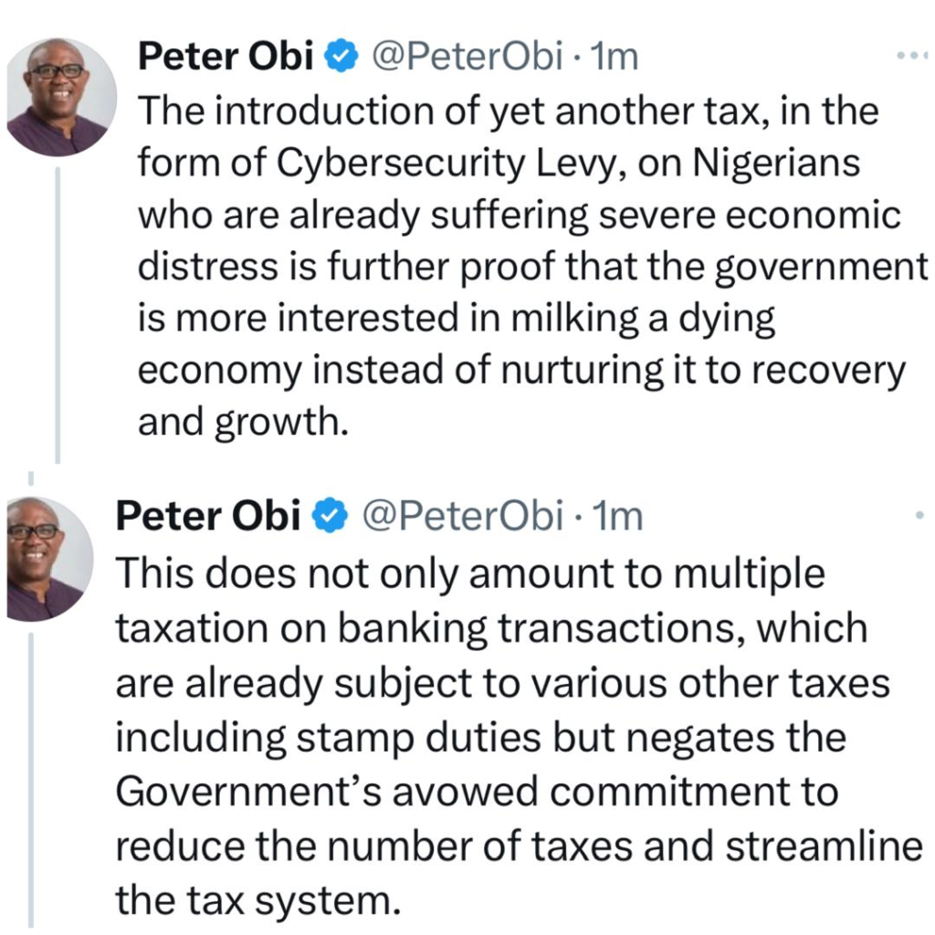 Cybersecurity Levy: Proof that the government is more interested in milking a dying economy instead of nurturing it to recovery - Peter Obi 4